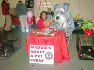 Maddie Adoption Event